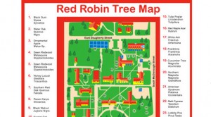 locate a red robin near me